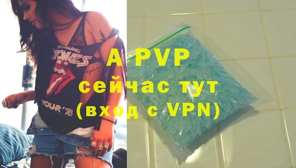 стаф Ростов